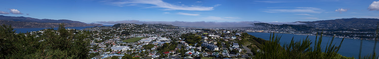 "Miramar New Zealand."